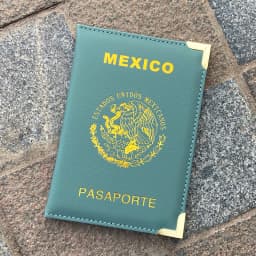 Mexico Passport Cover Metal Edges and Corners Passport Holder Travel Wallet Women Fashion Covers for Passports