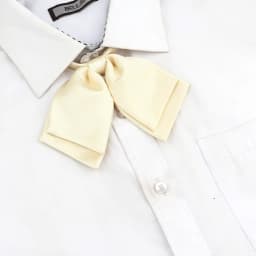 13 Colors Girl Student Bowtie Set Women Lady Ribbon Bow Tie School Party Bowknot Pink Bule Black Classic Butterfly Accessories