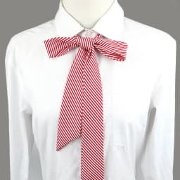 13 Colors Girl Student Bowtie Set Women Lady Ribbon Bow Tie School Party Bowknot Pink Bule Black Classic Butterfly Accessories