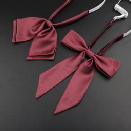 13 Colors Girl Student Bowtie Set Women Lady Ribbon Bow Tie School Party Bowknot Pink Bule Black Classic Butterfly Accessories