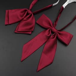 13 Colors Girl Student Bowtie Set Women Lady Ribbon Bow Tie School Party Bowknot Pink Bule Black Classic Butterfly Accessories