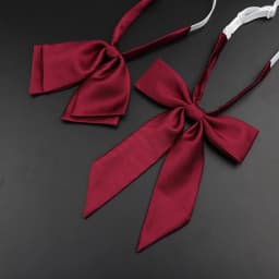 13 Colors Girl Student Bowtie Set Women Lady Ribbon Bow Tie School Party Bowknot Pink Bule Black Classic Butterfly Accessories