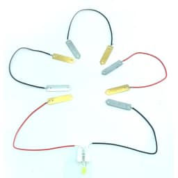 Bio Energy Science Kit Potato Fruit Supply Electricity Experiments Kids Children Student Learining Science Educational Toy
