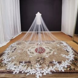 Customized Real Photos Long Lace Appliques Wedding Veil White Ivory Cathedral 1 Layer Bridal Veil 3.5 Meters Bride Veil