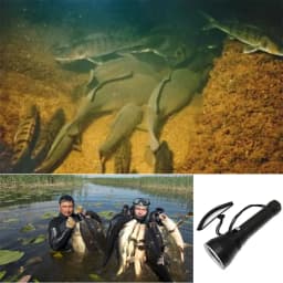 Professional Spearfishing Hunting Scuba XHP70.2 LED dive light 4000 lumen diving flashlight 26650 torch underwater flashlight