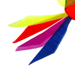 Rainbow Fish Kite Windsock Outdoor Garden Decor Kids Line Laundry Kids Toys
