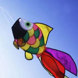 Rainbow Fish Kite Windsock Outdoor Garden Decor Kids Line Laundry Kids Toys