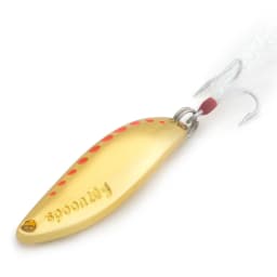 LUSHAZER brand Fishing lure spoon 2g 5g 7g 10g 15g 20g Gold/Silver fishing bait spoon hard lures metal lure China free shipping