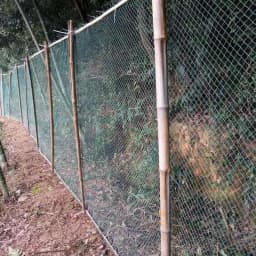 Heavy Anti Bird Netting Net Garden Fence and Crops Protective Fencing Mesh Anti Bird Deer Cat Dog Chicken Net Fishing Net