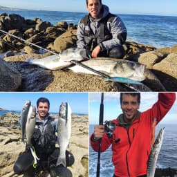 TSURINOYA 135mm 26.4g Ultra Long Casting 135S Saltwater Sinking Minnow BAYONET Tungaten Weight Fishing Lure Seabass Hard Bait