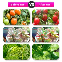 Full Spectrum LED Grow Light USB Grow Light Strip 0.5m 1m 2m 3m 4m 5m 2835 SMD LED Phyto Tape for Seed Plant Flower Greenhouse