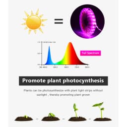 Full Spectrum LED Grow Light USB Grow Light Strip 0.5m 1m 2m 3m 4m 5m 2835 SMD LED Phyto Tape for Seed Plant Flower Greenhouse