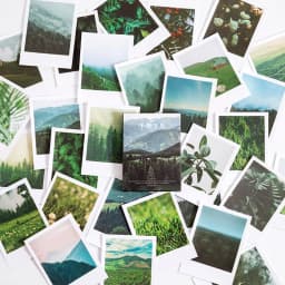 30pcs/box cute book flower stationery sticker landscape travel sticker DIY decorative glue sticker diary school supplies lomo