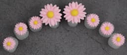 Candy Color 8pcs Daisy Silicone Toe Separator Foot Finger Divider Form Manicure Pedicure Care Nail Art Tool Holder Accessory
