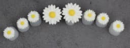 Candy Color 8pcs Daisy Silicone Toe Separator Foot Finger Divider Form Manicure Pedicure Care Nail Art Tool Holder Accessory