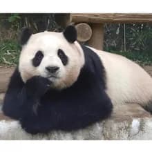 지***r