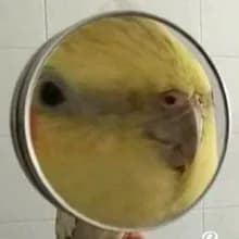 К***а