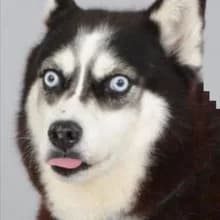 P***i