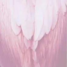 r***n