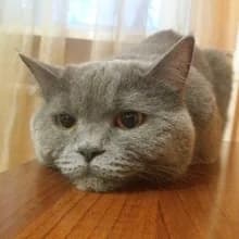 М***а