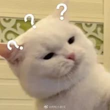 O***4