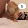 통***강