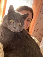 Н***а