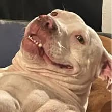 D***g