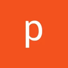 p***t
