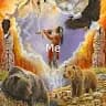 D***r