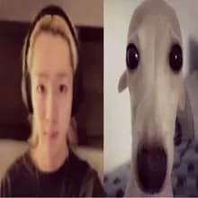 D***o