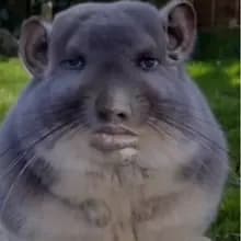 S***r