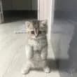 m***r