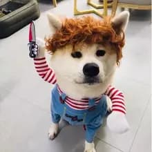 Y***i