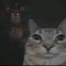 C***e
