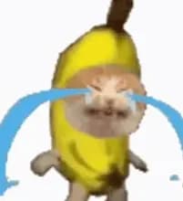 N***n