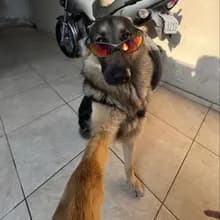 r***a