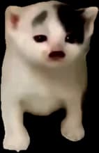 M***s