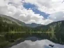 П***ч
