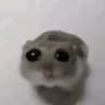 M***a