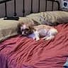 V***y
