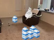 S***i