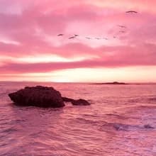 Ж***а