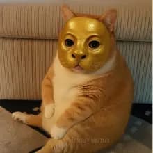 P***n