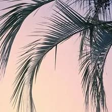 H***l