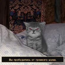 Ш***ч