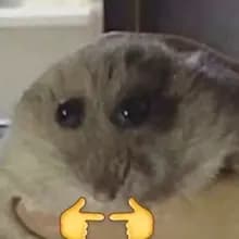 a***r