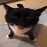 R***R