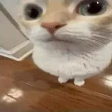 h***k