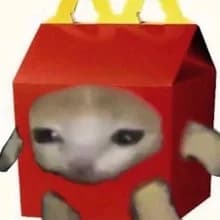 I***a